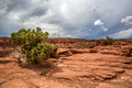 Capitol Reef National Park, Utah