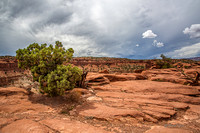 Capitol Reef-2874
