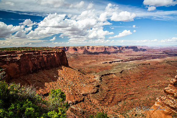 Canyonlands, Dead Horse Point  GLO7915