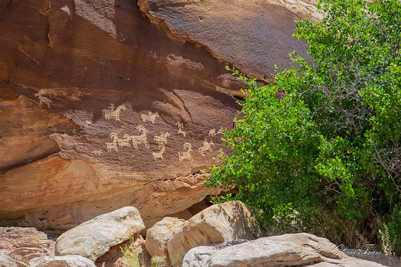 Arches National Park, Moab, Utah-4-4