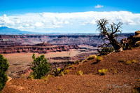 Canyonlands, Dead Horse Point GLO7912