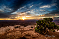 Canyonlands, Dead Horse Point  GLO7933a