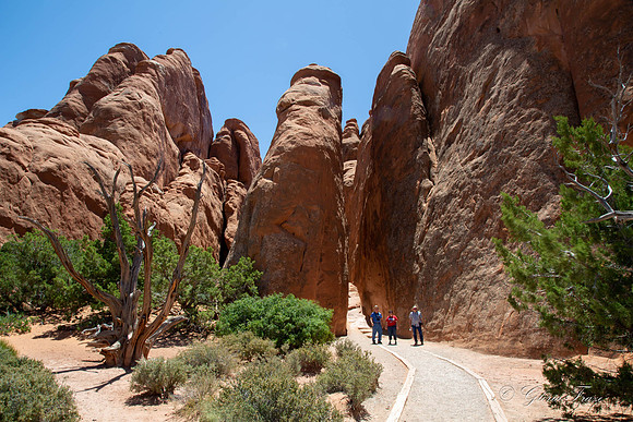 Arches National Park, Moab, Utah-4-5