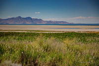 Antelope Island, Salt Lake, Utah 2545