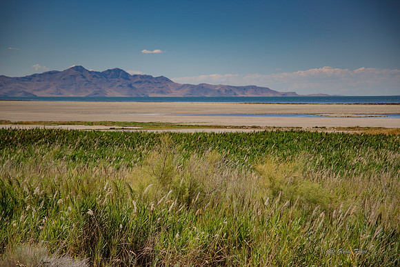 Antelope Island, Salt Lake, Utah 2545