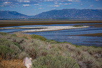 Antelope Island, Salt Lake, Utah 2559