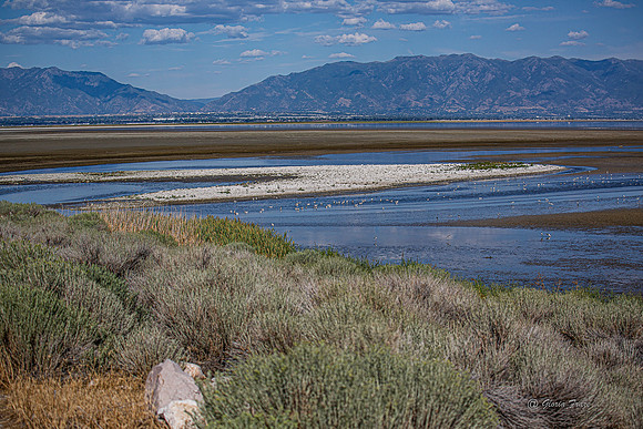 Antelope Island, Salt Lake, Utah 2559