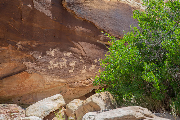 Arches National Park, Moab, Utah-2-26