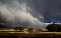 Hereford, AZ   9