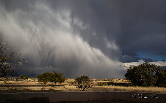 Hereford, AZ   9