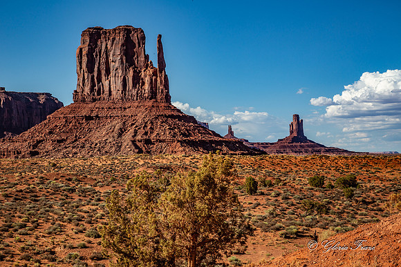 Monument Valley, Arizona GLO1516