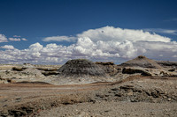 Factory Butte-2789