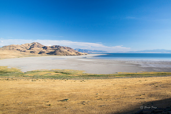 Antelope Island, Salt Lake, Utah 2706