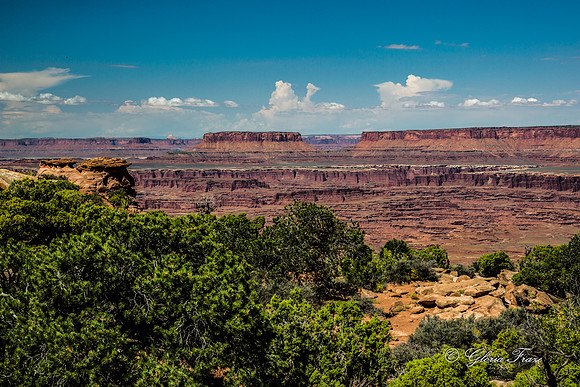 Needles Overlook, Canyonlands GLO7889