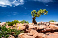 Canyonlands National  Park 2019_06_09_1064-2