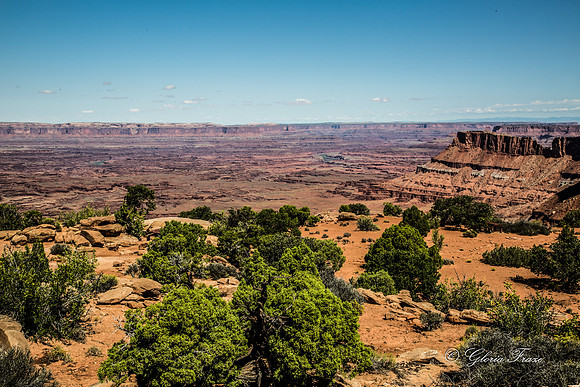 Needles Overlook, Canyonlands GLO7883