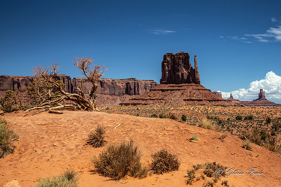 Monument Valley, Arizona GLO1438