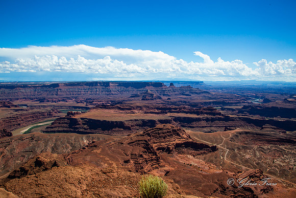 Canyonlands, Dead Horse Point  GLO7896