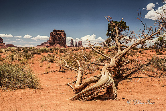 Monument Valley, Arizona GLO1483_edited-1