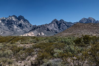 Organ Mountain, New Mexico-0854