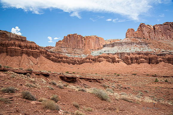Capitol Reef-2867