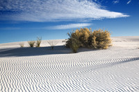 White Sands 0799