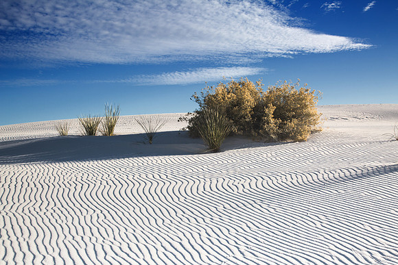 White Sands 0799