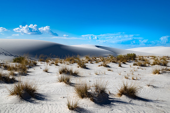 White Sands Ntl Park, New Mexico-0705