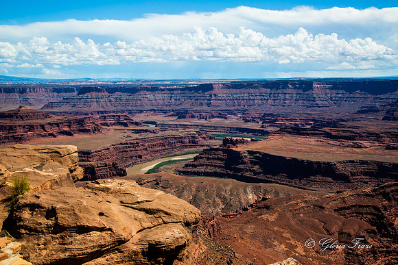 Canyonlands, Dead Horse Point  GLO7897