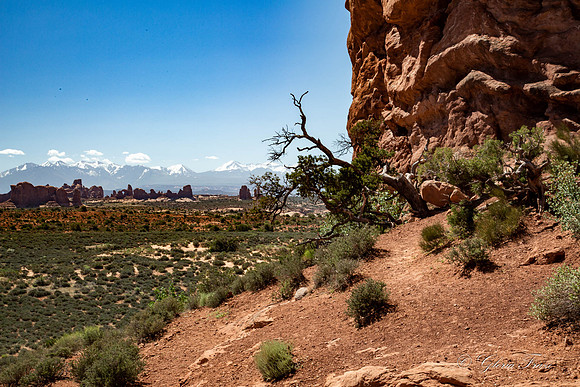 Arches National Park, Moab, Utah-2-12