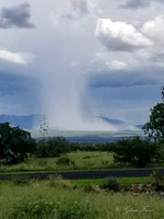 Hereford, AZ   7