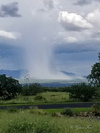 Hereford, AZ   7