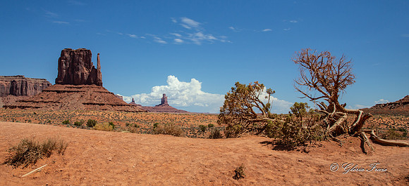 Monument Valley, Arizona GLO1437