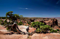 Canyonlands National  Park 2019_06_09_1036-2