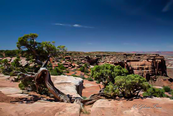 Canyonlands National  Park 2019_06_09_1036-2