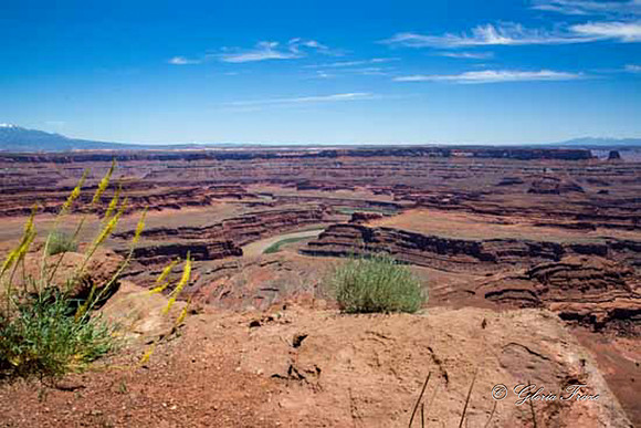 Canyonlands National  Park 2019_06_09_1049-2