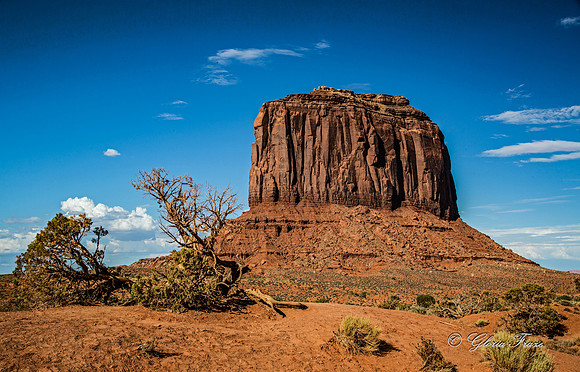 Monument Valley, Arizona GLO1515
