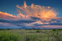Hereford, AZ   4