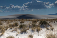 White Sands Ntl Park, New Mexico-0699