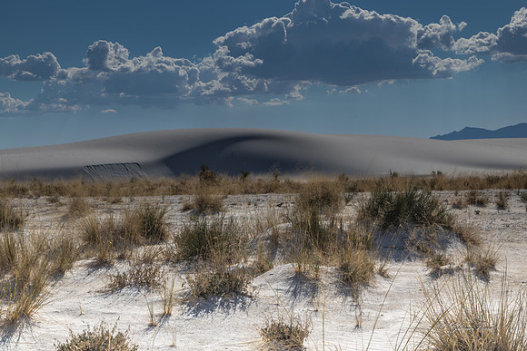 White Sands Ntl Park, New Mexico-0699