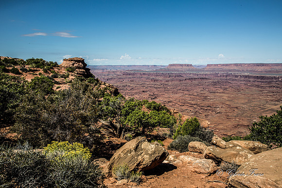 Needles Overlook, Canyonlands GLO7875