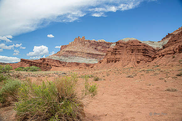 Capitol Reef-2862
