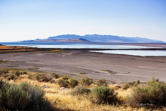 Antelope Island, Salt Lake, Utah 2701
