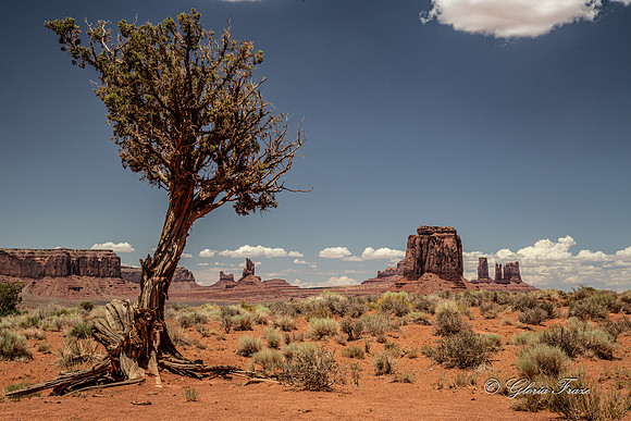 Monument Valley, Arizona GLO1488