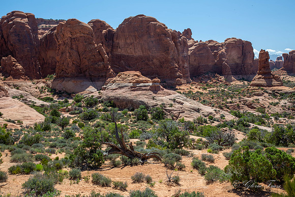 Arches National Park, Moab, Utah-2-22