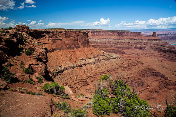 Canyonlands, Dead Horse Point  GLO7911