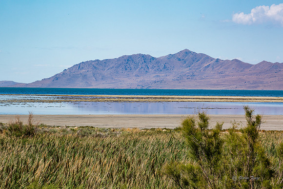 Antelope Island, Salt Lake, Utah 2546