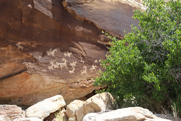 Arches National Park, Moab, Utah-3-7