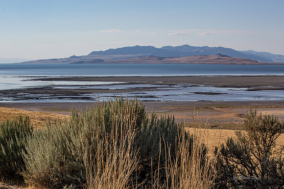 Antelope Island, Salt Lake, Utah 2702