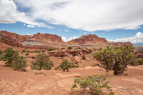 Capitol Reef-2886